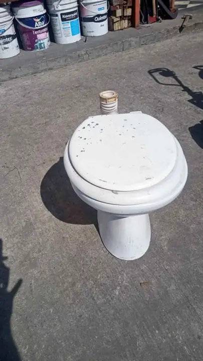 Inodoro usado capea con tapa