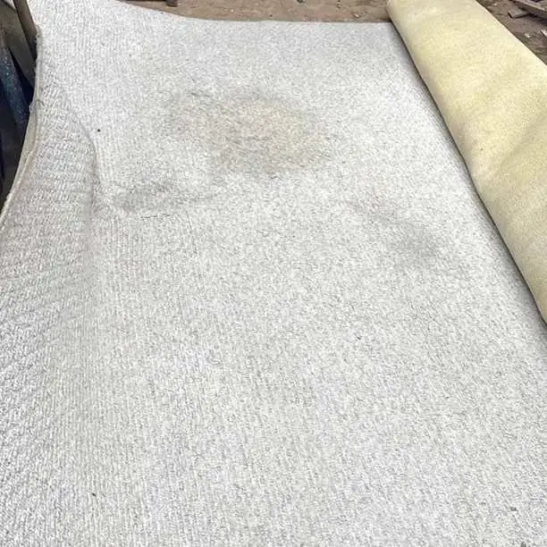 Alfombra 250 x 370