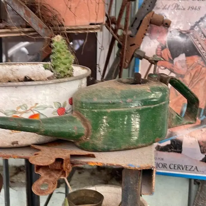Antiguas aceiteras