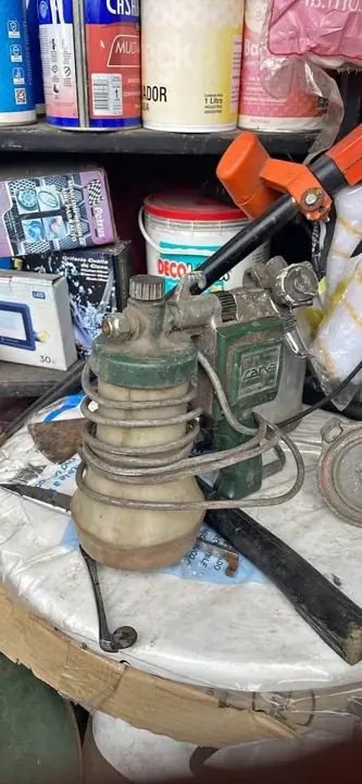 Pista cane eléctrica