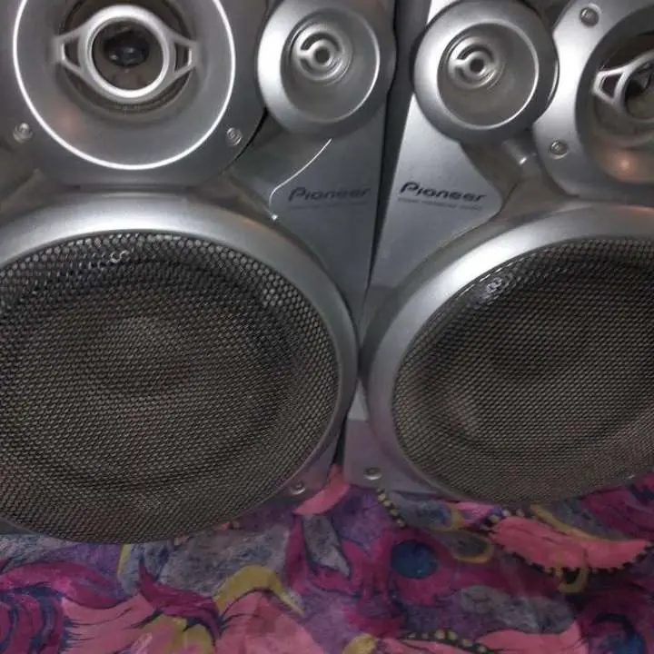 Parlantes Pioneer grandes