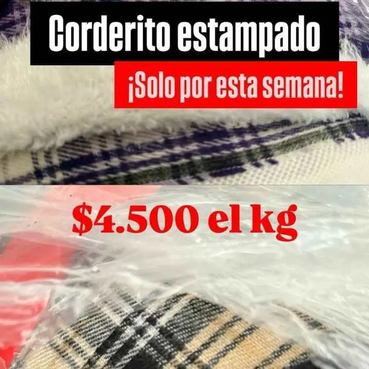 Corderito estampado