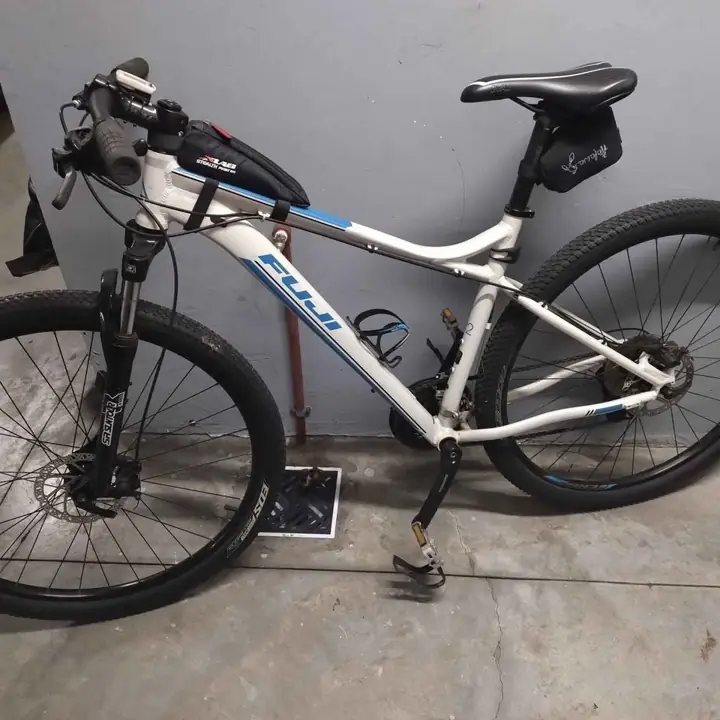 Bicicleta 29