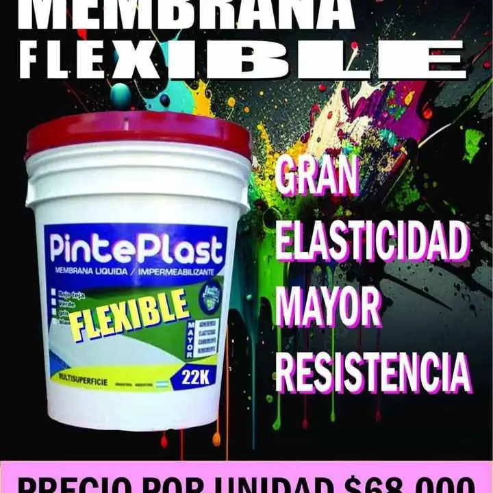 Pintura impermeabilizante