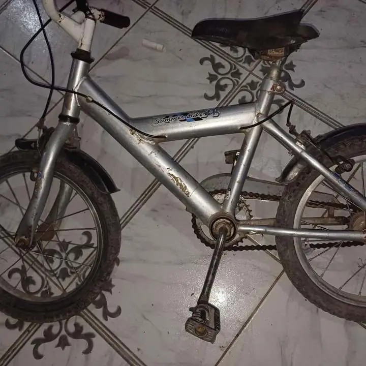 Bici rodado 16