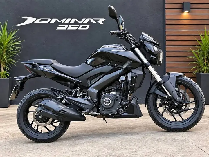 Dominar 250 año 2021