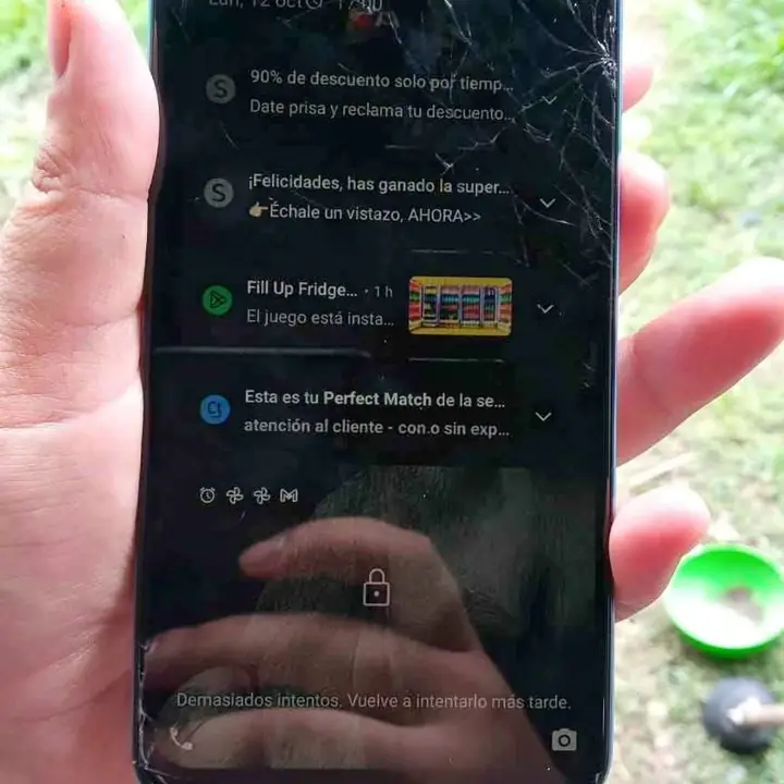 Celular Noblex N62