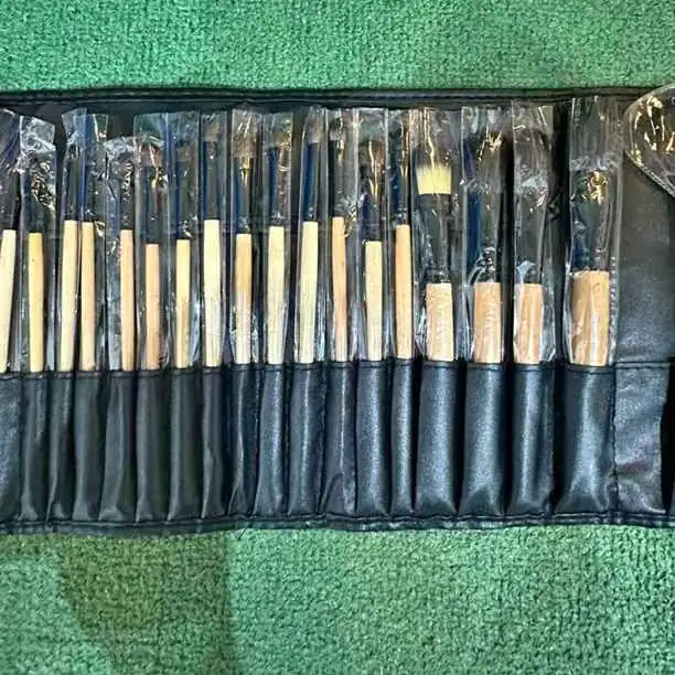 Set de brochas profesionales X24 pcs