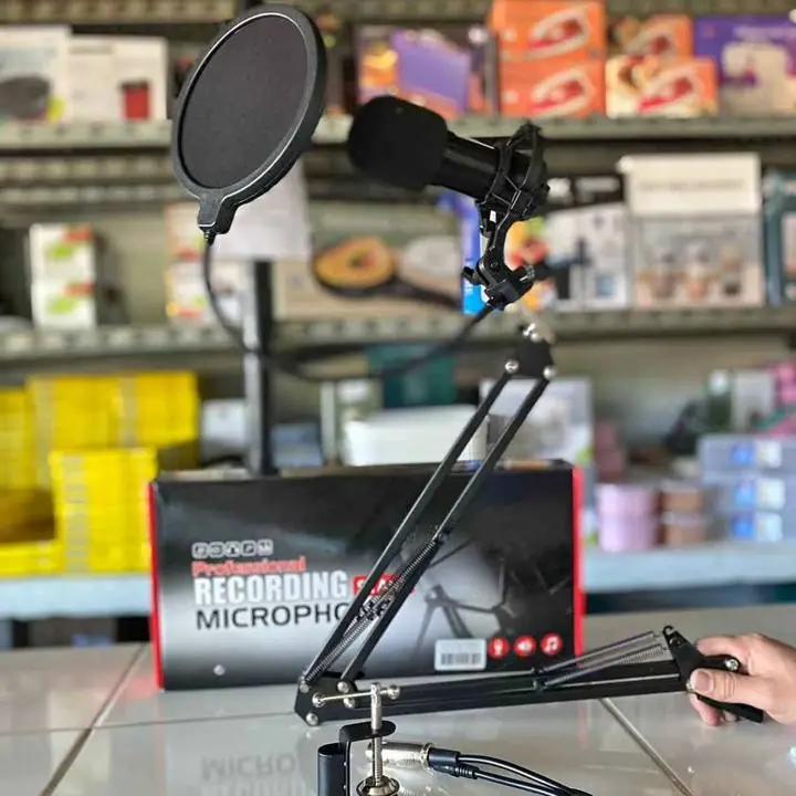 Micrófono profesional