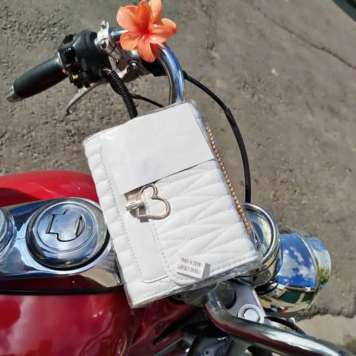 Cartera/bandolera minibag
