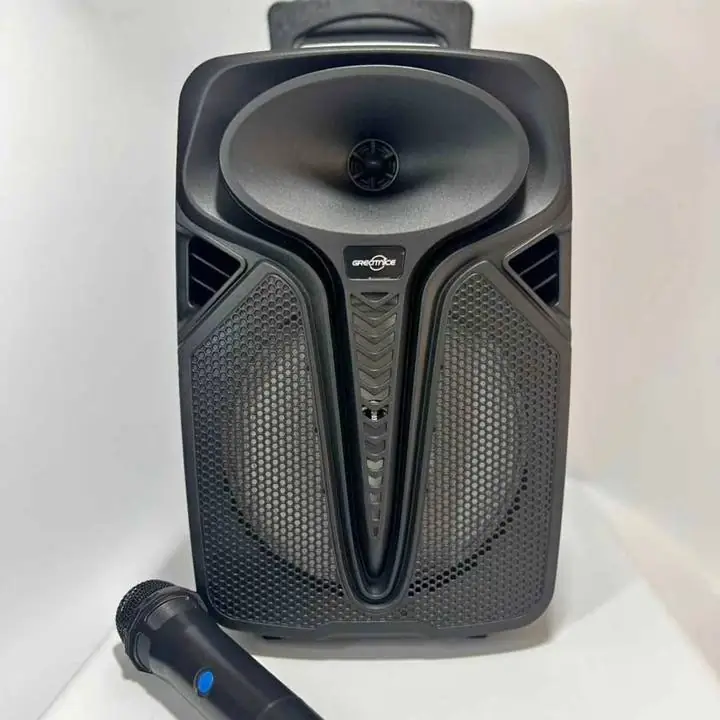 Parlante Amplificado + Micrófono Inalámbrico