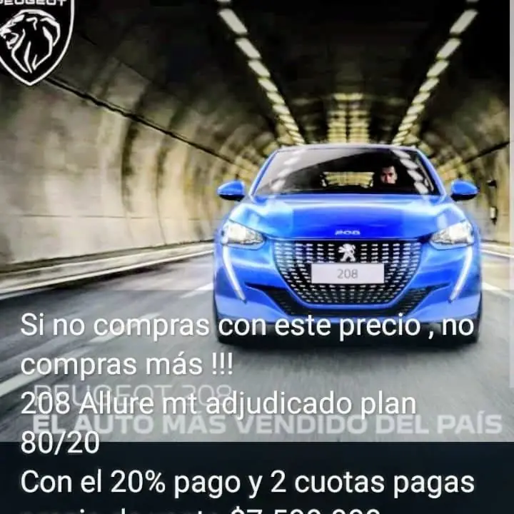 2025 Varios 208
