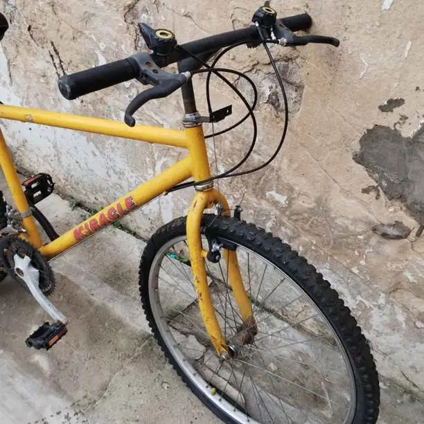 Bicicleta