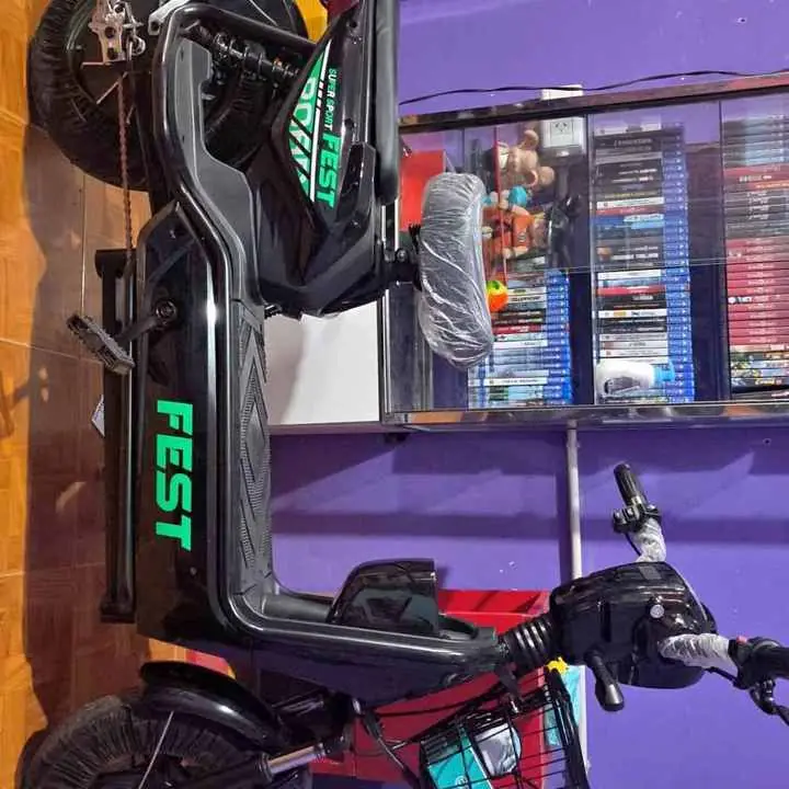 Moto electrica