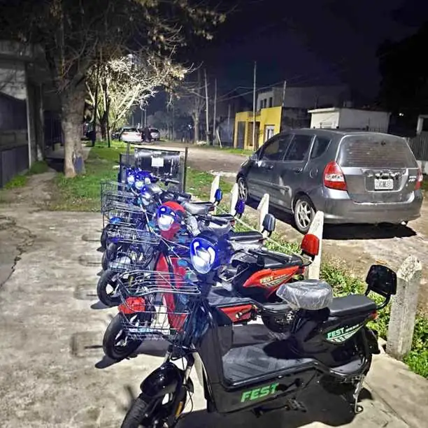 Moto electrica