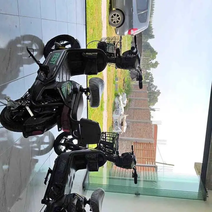 Bici moto electrica