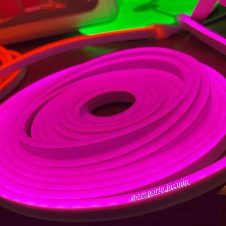 Luces NEON 5MTS