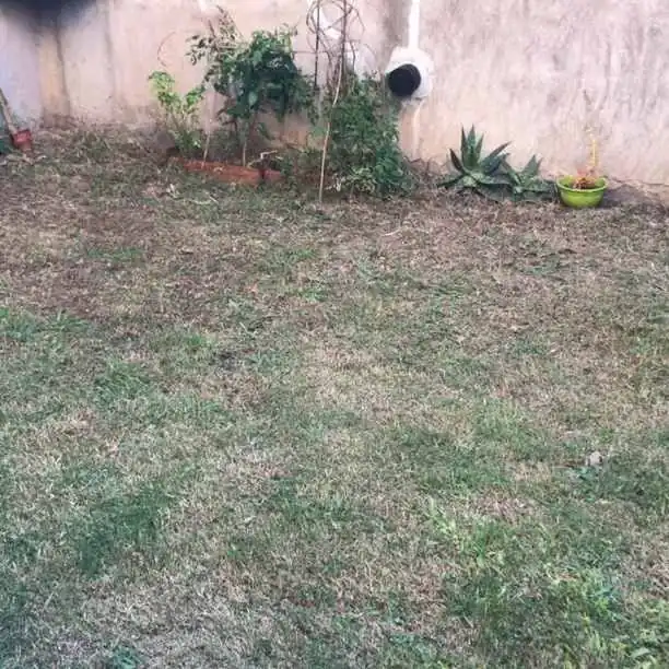 Caja de cambio wolsvaguen costeleiyon