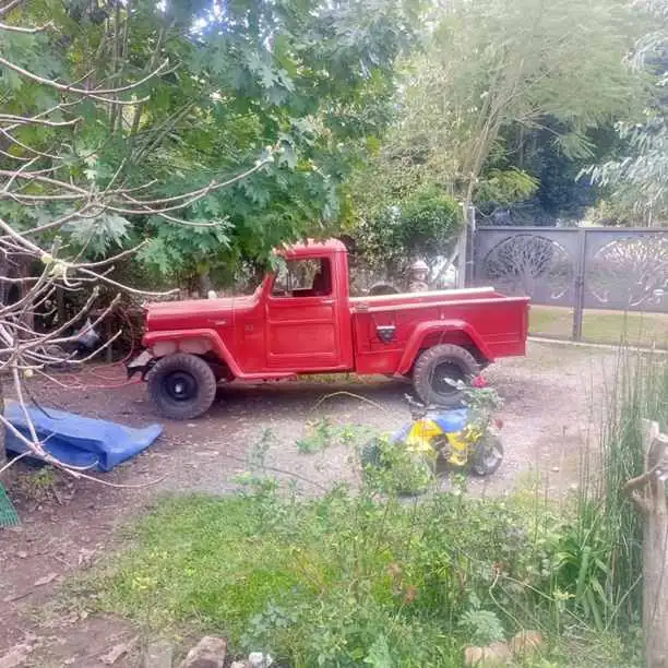 Baquiano 1000 4x4