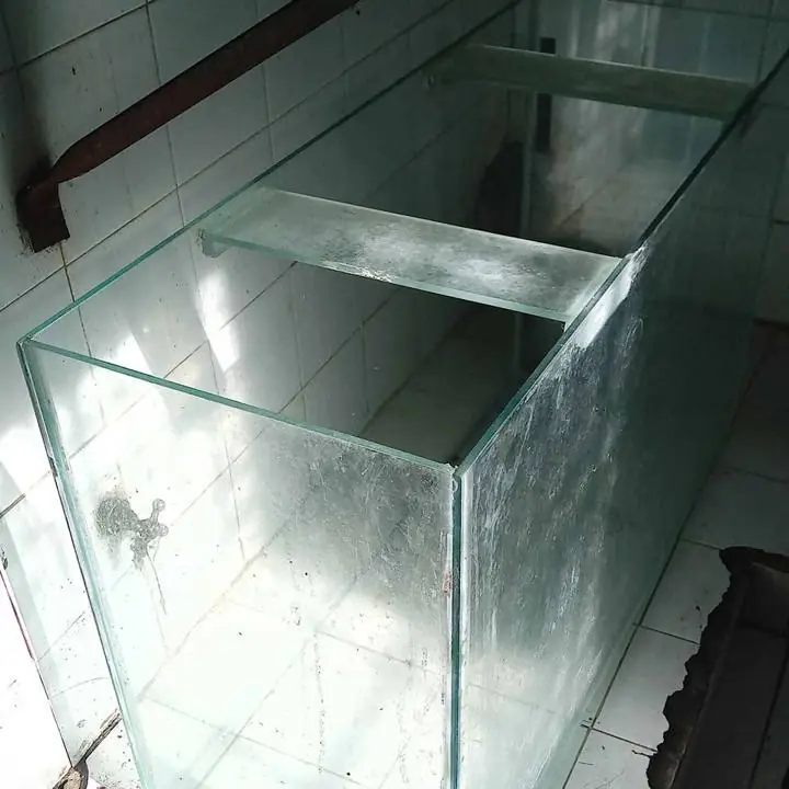 Vendo..pecera