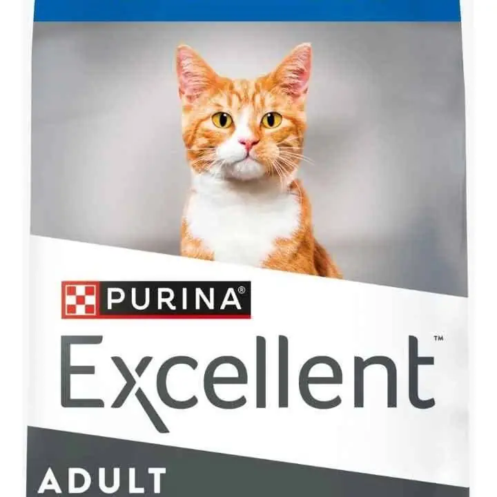 Excellent mantenimiento gato