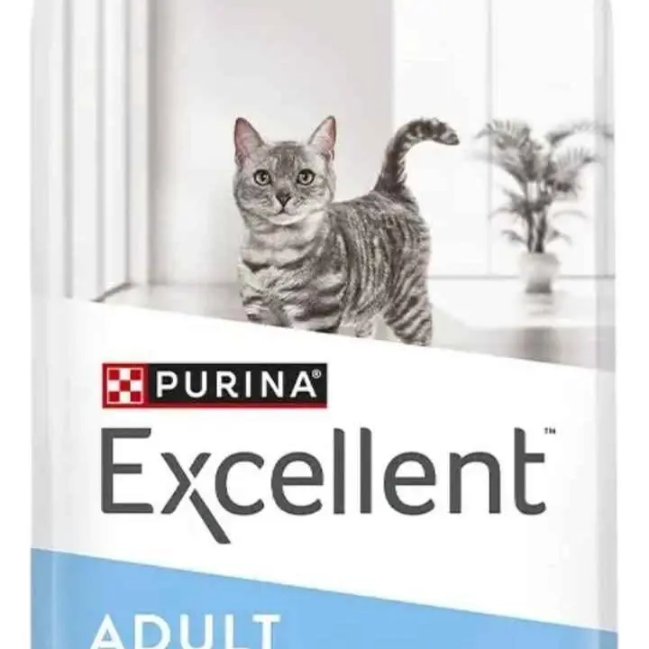 Excellent gato adulto