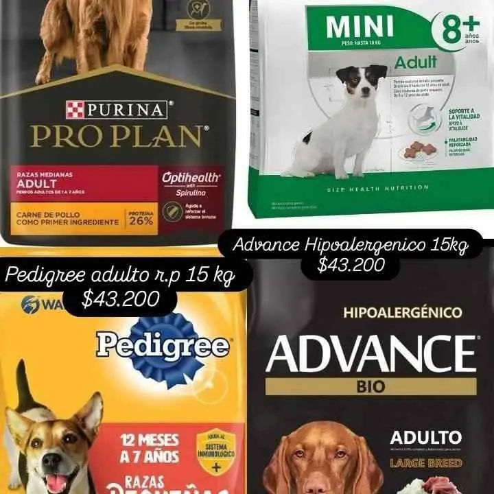 Alimento balanceado