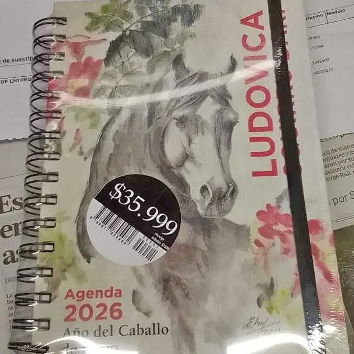 Agenda 2026 año del caballo