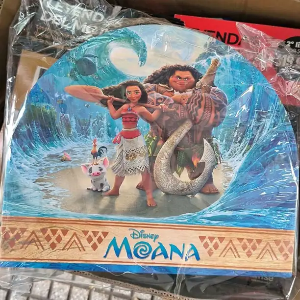 Colección Disney Moana Caja contenedora N1
