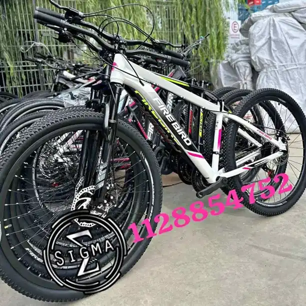 Bicicletas rodado 29 fire bird