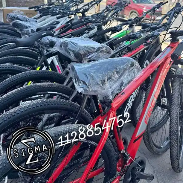 Bicicletas rodado 29 Aluminio fire bird