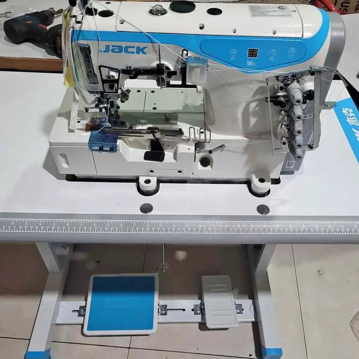 Collareta Jack W4