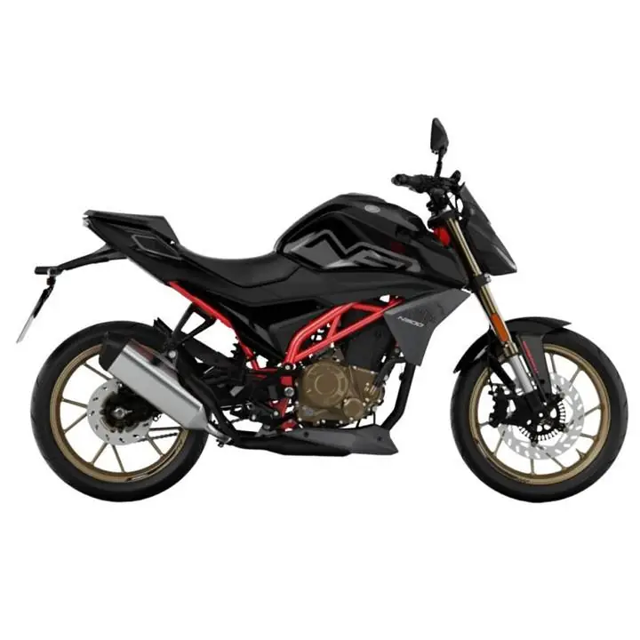 Morbidelli N300