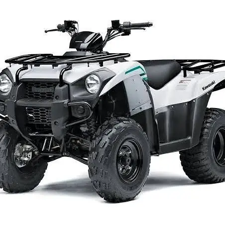 Kawasaki brute force 300