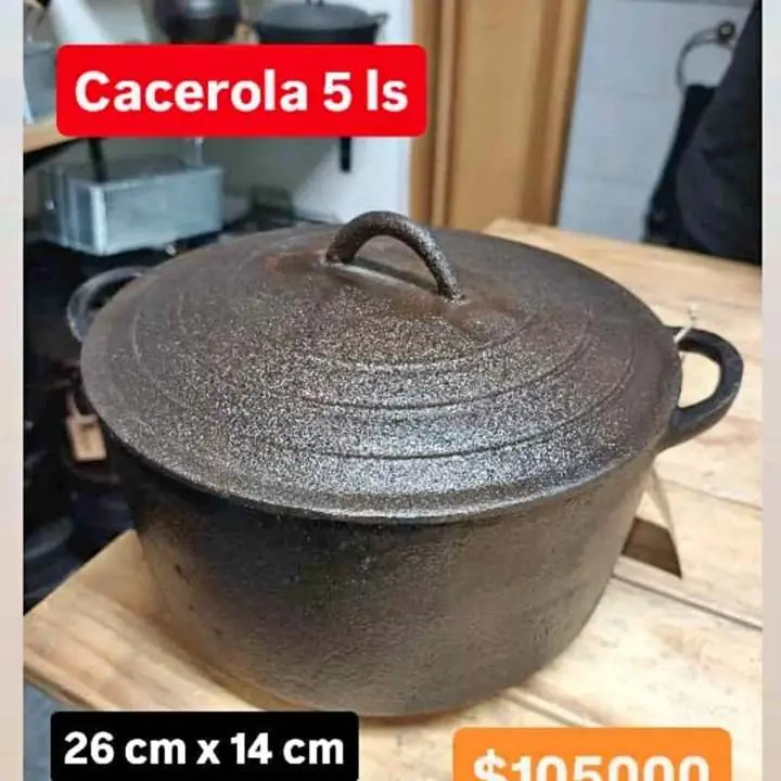 Olla de fundición de 5 litros con tapa