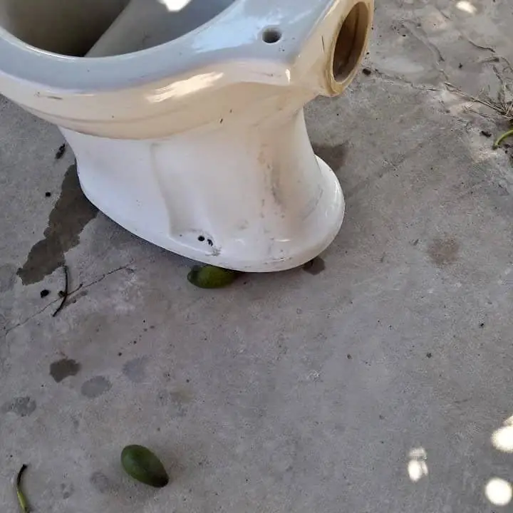 Inodoro blanco de gran porte