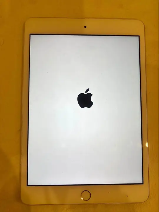 I pad mini bloqueado. Cero detalles