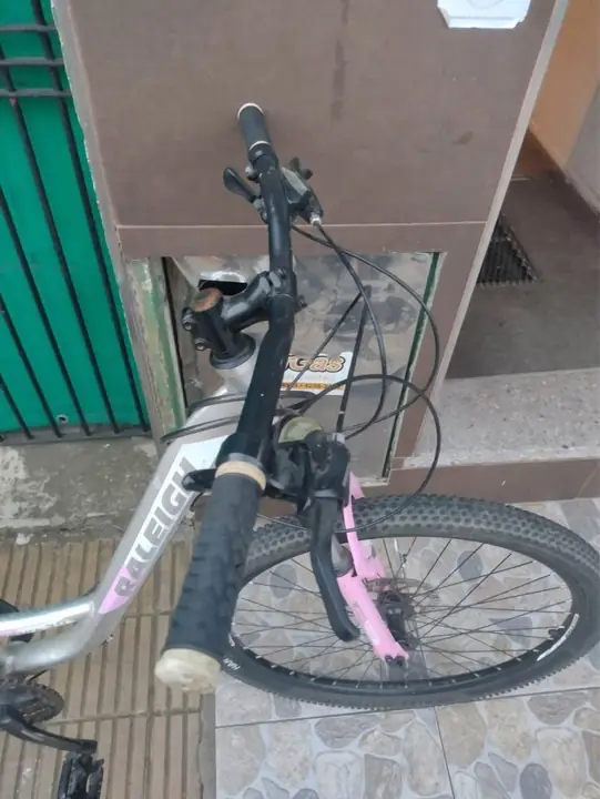 Bicicleta Raleigh