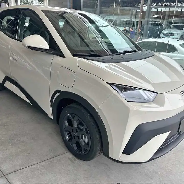 BYD Dolphin GS