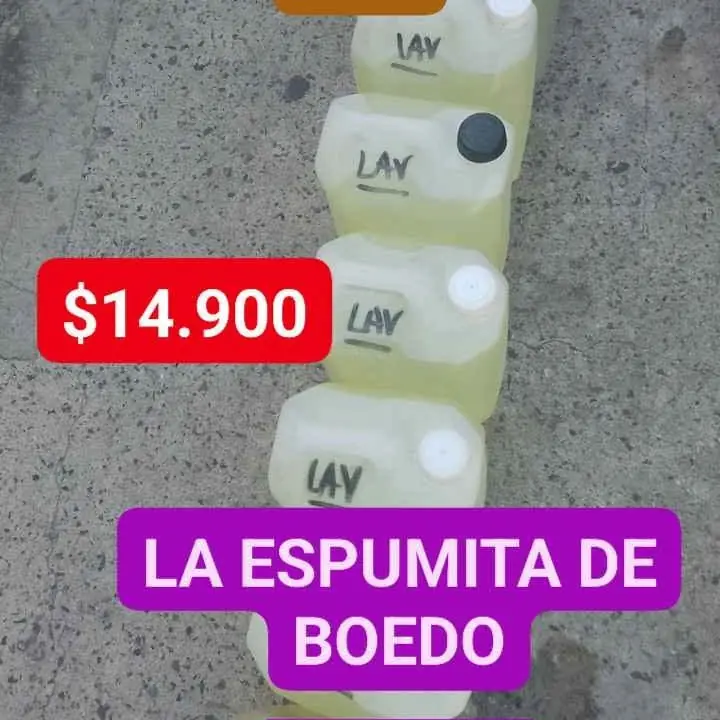 Lavandina buena 25 litros reparto en CABA