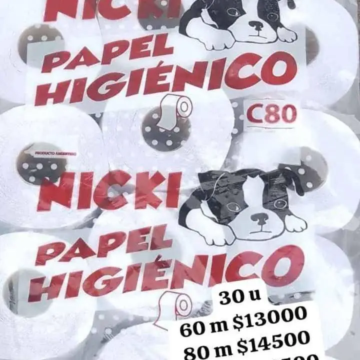 Higiénico bolsón 30 unidades 80 m reales reparto en CABA
