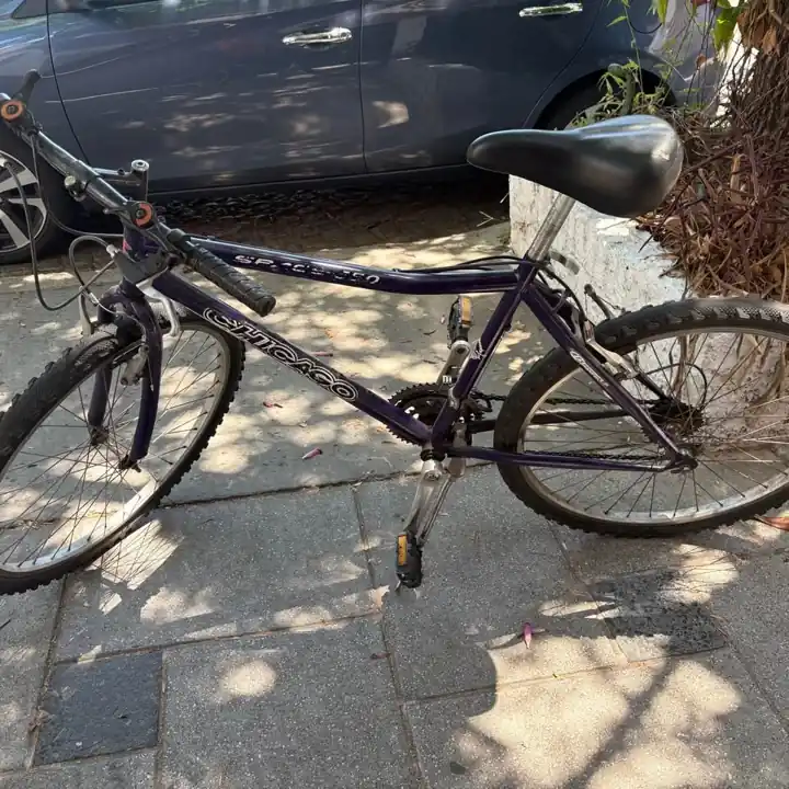 Bicicleta Chicago rodado 26