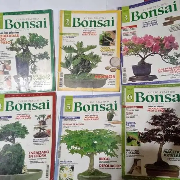 Fascículos+para+aprender+hacer+Bonsai