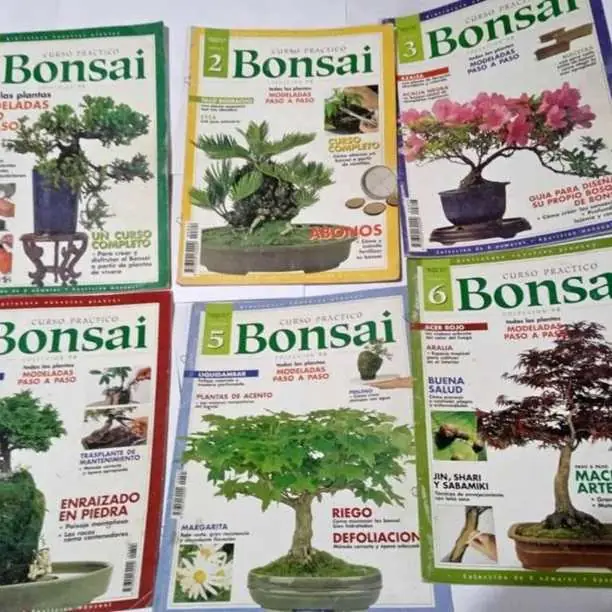 Fascículos+aprender+a+realizar+Bonsai+