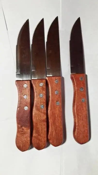 4 Cuchillos asado con exprimidor eléctrico nuevo