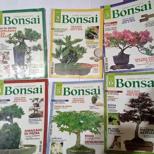 Colección 6 fasciculos aprender a realizar Bonsai