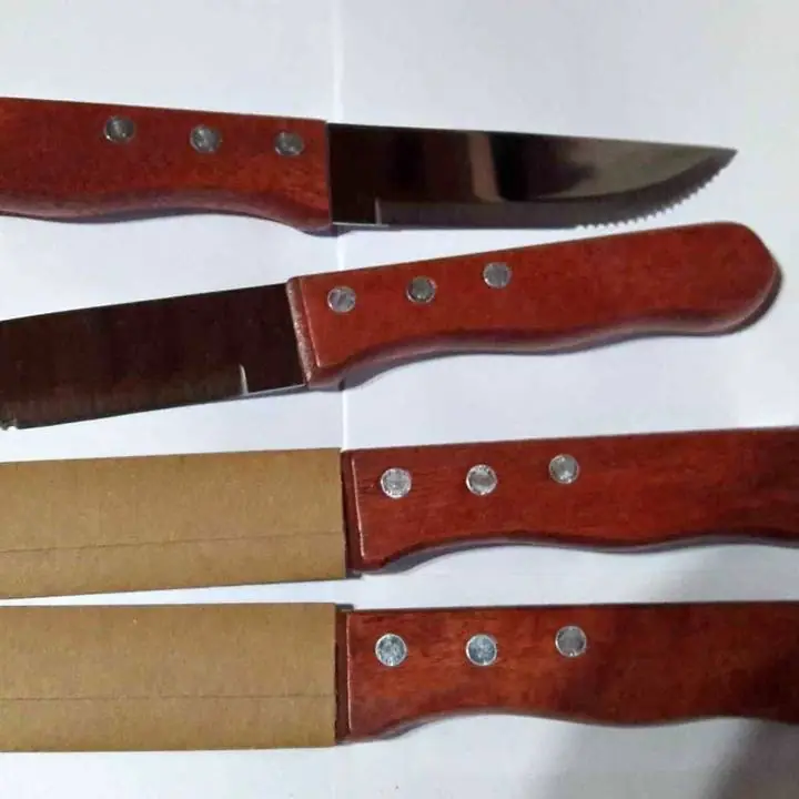 Juego de 4 cuchillos cocina asador