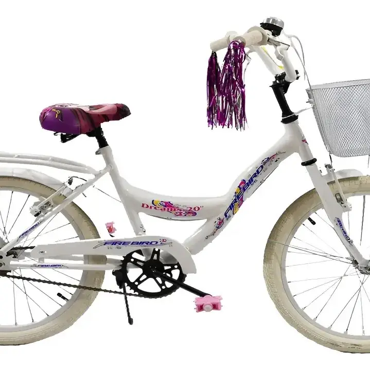 Bicicleta r20, full dama
