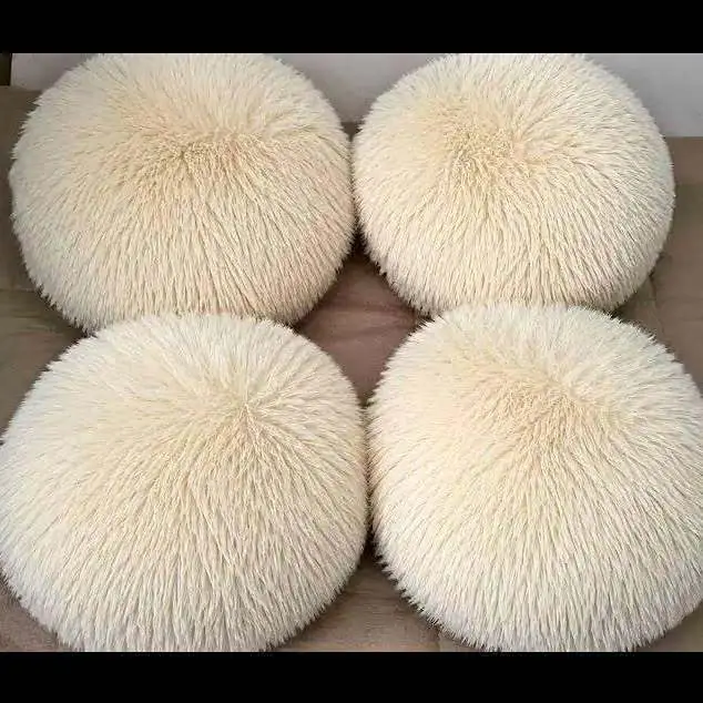 Almohadones+redondos+