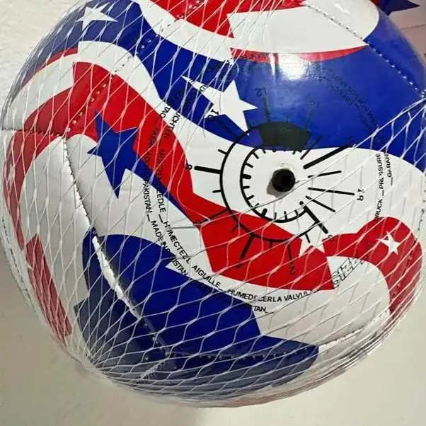 Pelotas del mundial